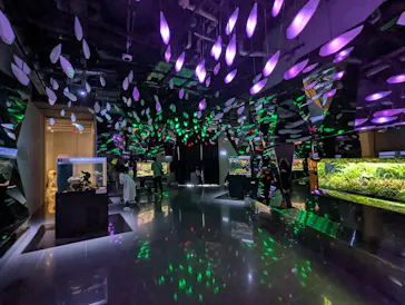 AQUARIUM × ART　atoaに投稿された画像（2026/10/9）