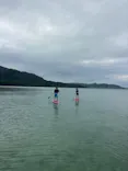 石垣島　ウミガメシュノーケル　マリンショップHAPPYに投稿された画像（2026/10/9）