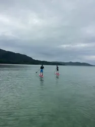 石垣島　ウミガメシュノーケル　マリンショップHAPPYに投稿された画像（2026/10/9）