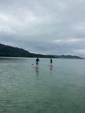 石垣島　ウミガメシュノーケル　マリンショップHAPPYに投稿された画像（2026/10/9）