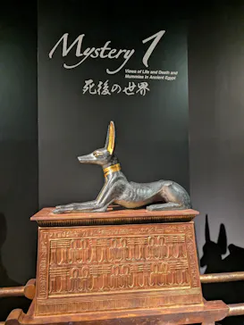 MYSTERY OF TUTANKHAMEN 体感型古代エジプト展に投稿された画像（2026/10/9）