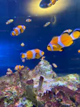大分マリーンパレス水族館 「うみたまご」に投稿された画像（2026/10/10）