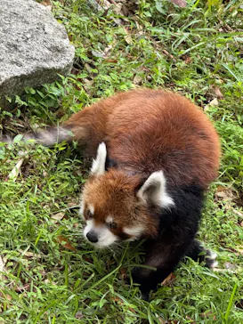 千葉市動物公園に投稿された画像（2026/10/10）