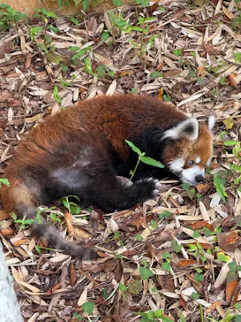 千葉市動物公園に投稿された画像（2026/10/10）