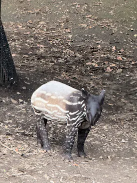 千葉市動物公園に投稿された画像（2026/10/10）