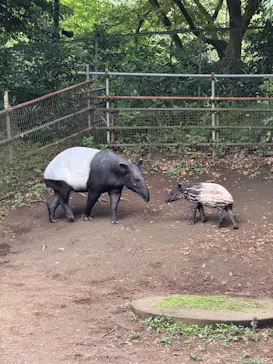 千葉市動物公園に投稿された画像（2026/10/10）