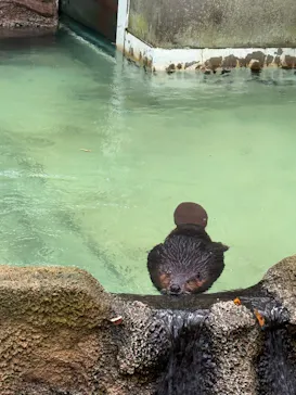 千葉市動物公園に投稿された画像（2026/10/10）