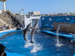仙台うみの杜水族館に投稿された画像（2026/10/10）