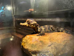 体感型動物園iZooに投稿された画像（2026/10/10）
