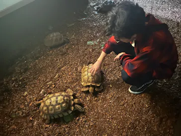 体感型動物園iZooに投稿された画像（2026/10/10）