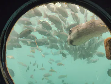串本海中公園水族館に投稿された画像（2026/10/10）