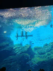 仙台うみの杜水族館に投稿された画像（2026/10/10）