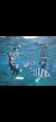 武藤潜水に投稿された画像（2026/10/10）