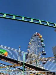 あらかわ遊園に投稿された画像（2026/10/10）