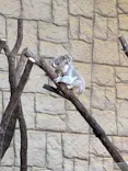 名古屋市東山動植物園に投稿された画像（2026/10/10）
