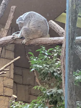 名古屋市東山動植物園に投稿された画像（2026/10/10）