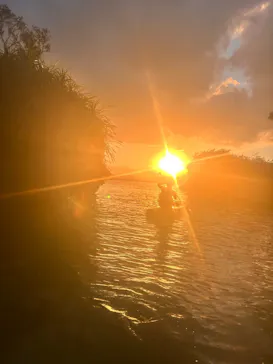 NATURE SHOP PAOに投稿された画像（2026/10/10）