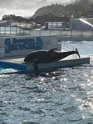 鴨川シーワールドに投稿された画像（2026/10/10）