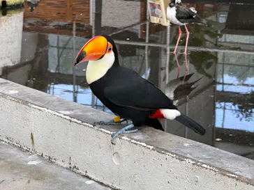 掛川花鳥園に投稿された画像（2026/10/10）