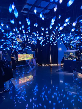 AQUARIUM × ART　atoaに投稿された画像（2026/10/10）