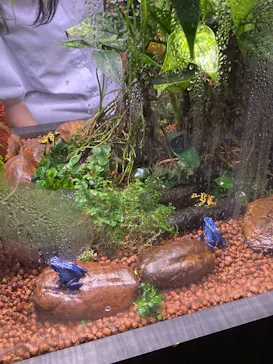 AQUARIUM × ART　atoaに投稿された画像（2026/10/10）