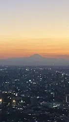 東京タワーに投稿された画像（2026/10/10）