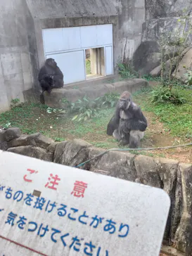 千葉市動物公園に投稿された画像（2026/10/10）