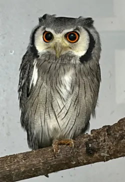 掛川花鳥園に投稿された画像（2026/10/10）