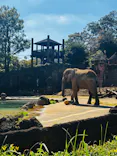多摩動物公園に投稿された画像（2026/10/10）