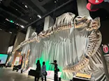 福井県立恐竜博物館に投稿された画像（2026/10/10）