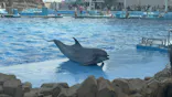 名古屋港水族館に投稿された画像（2026/10/10）