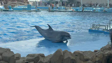 名古屋港水族館に投稿された画像（2026/10/10）