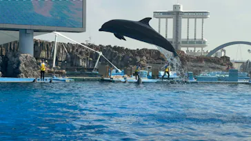 名古屋港水族館に投稿された画像（2026/10/10）