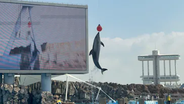 名古屋港水族館に投稿された画像（2026/10/10）