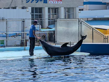 越前松島水族館に投稿された画像（2026/10/10）