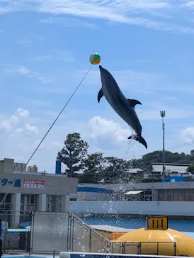 越前松島水族館に投稿された画像（2026/10/10）