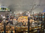 福井県立恐竜博物館に投稿された画像（2026/10/10）