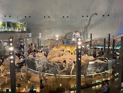 福井県立恐竜博物館に投稿された画像（2026/10/10）