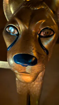 MYSTERY OF TUTANKHAMEN 体感型古代エジプト展に投稿された画像（2026/10/10）