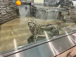 いしかわ動物園に投稿された画像（2026/10/10）