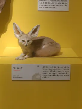 特別展「いきもの超ワールド展　国立科学博物館×ダーウィンが来た！」（国立科学博物館）に投稿された画像（2026/10/10）