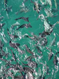 串本海中公園水族館に投稿された画像（2026/10/11）