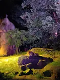 天王寺動物園に投稿された画像（2026/10/11）