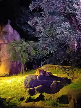 天王寺動物園に投稿された画像（2026/10/10）