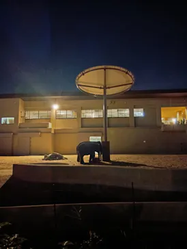 天王寺動物園に投稿された画像（2026/10/10）