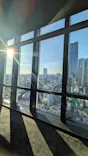東京タワーに投稿された画像（2026/10/11）