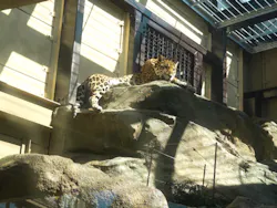 東武動物公園に投稿された画像（2026/10/10）