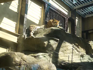 東武動物公園に投稿された画像（2026/10/10）