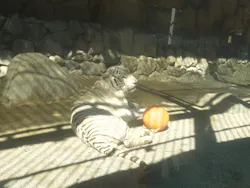 東武動物公園に投稿された画像（2026/10/10）
