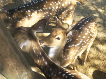 東武動物公園に投稿された画像（2026/10/10）